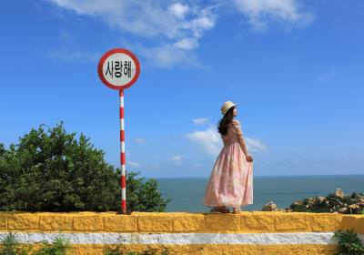 在那琴半岛那片海浪起来