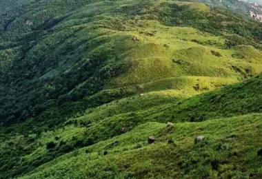 紫罗山生态旅游养生胜地