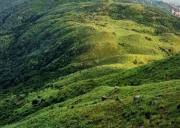 紫罗山生态旅游养生胜地