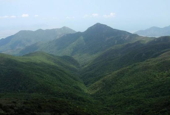 紫罗山